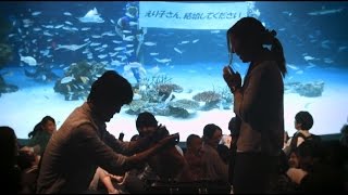 【I-PRIMO】アイプリモ&times;サンシャイン水族館｢天空のオアシスプロポーズ｣～サプライズプロポーズ