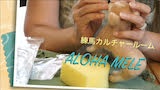 練馬カルチャールーム　ALOHA MELE【アロハメレ】